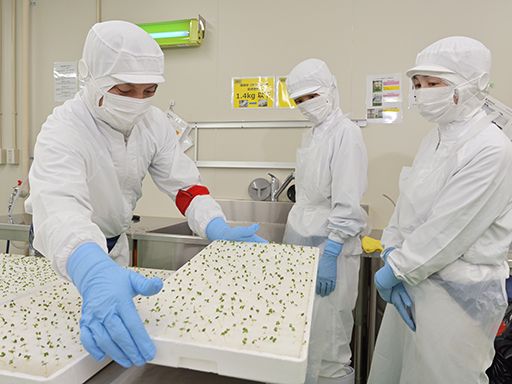 株式会社ベジタブルテック 株式会社ベジタブルテック