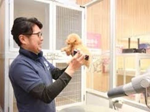 WIYNペット ブランチ大津京店 WIYNペット ブランチ大津京店