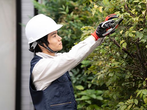 藤沢造園株式会社