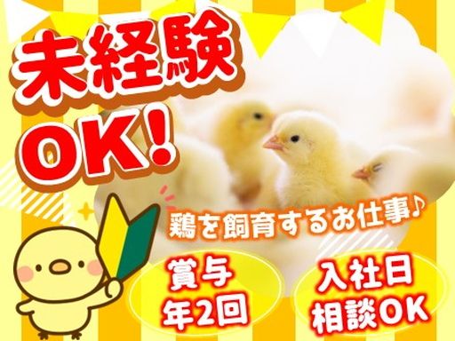 トップ卵ファーム株式会社