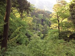 武藤住建工業
