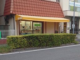 たんぽぽ薬局