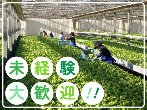 若菜農園
