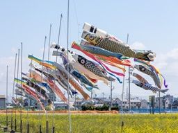 ドライバーズ株式会社