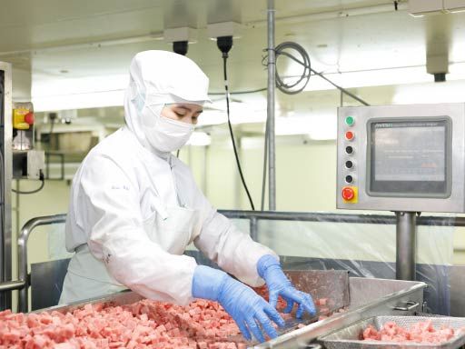 株式会社マルハニチロオーシャン 焼津食品工場 株式会社マルハニチロオーシャン 焼津食品工場