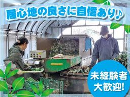 酒井農場