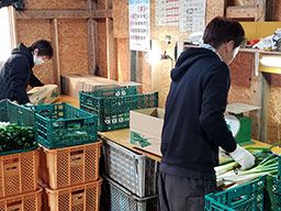 酒井農場 酒井農場