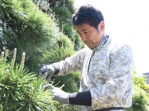株式会社 相川造園 株式会社 相川造園
