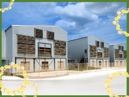 トップ卵ファーム 株式会社 トップ卵ファーム 株式会社
