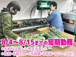 有限会社あさの