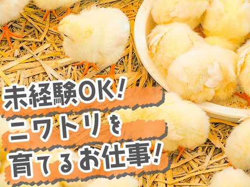 有限会社石井養鶏所