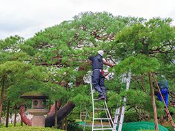 伊藤造園
