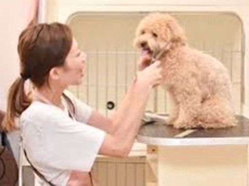 WIYNペット 雄琴本店・ブランチ大津京店