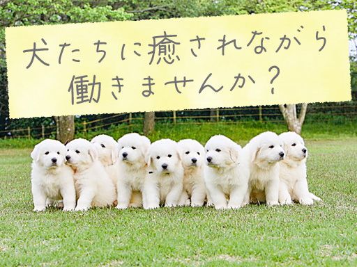 ファーストライン合同会社
