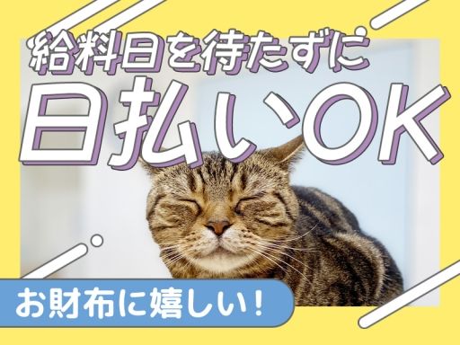 株式会社綜合キャリアオプション/1314BP0923G7★29-N