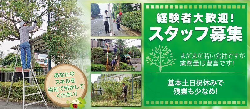 株式会社孝緑園の求人情報-01