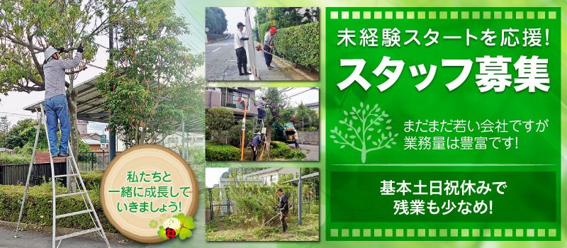 株式会社孝緑園の求人情報-01