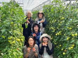 株式会社 サンファーム富士山