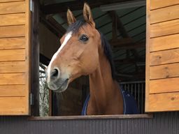 株式会社エス・アール・シー　佐倉ライディングクラブ