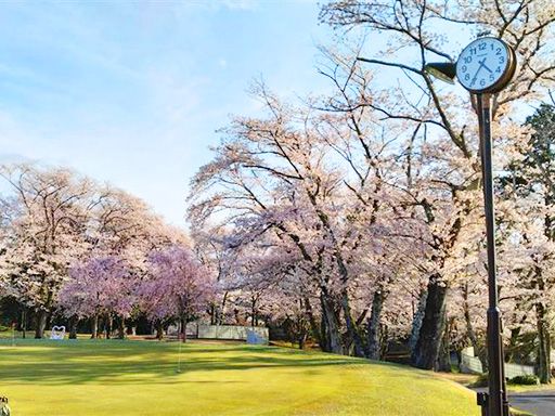 株式会社 桜の宮の求人情報-04