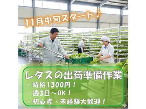 株式会社　フルキャスト　中四国支社　香川営業課/BJ1101L-5AG