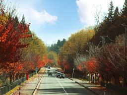 ドライバーズ株式会社