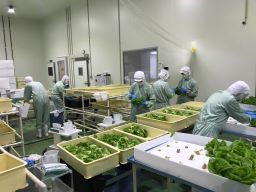 株式会社野菜工房　茨城那珂工場
