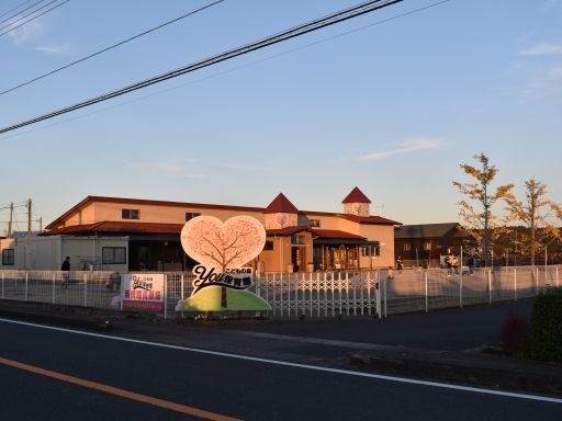 こどもの森YOU保育園のアルバイト情報