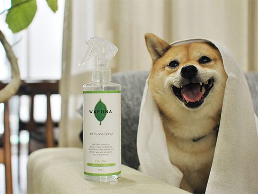 株式会社スタンダード　大阪営業所