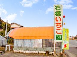 石橋いちご園