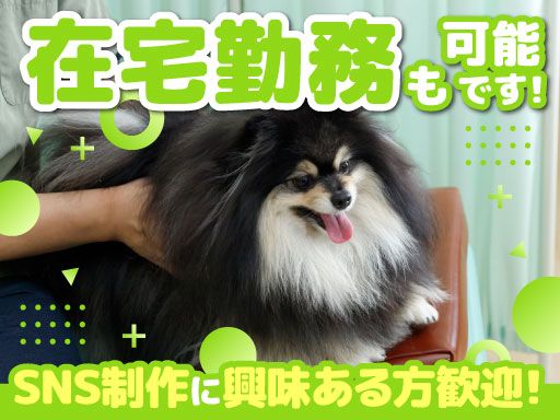 アニマルカイロプロジェクト　藤沢