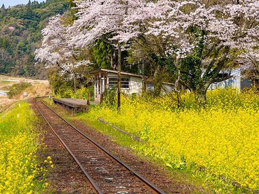 株式会社クリエイト 派遣・紹介事業部の求人情報-01