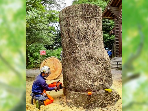 株式会社栄楽園（えいらくえん）