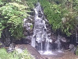 三興産業株式会社