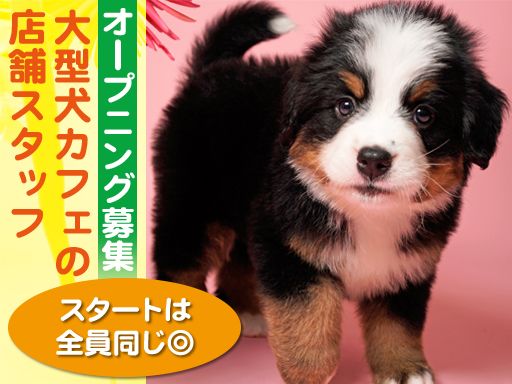 moffle +（モッフルプラス）大阪心斎橋店