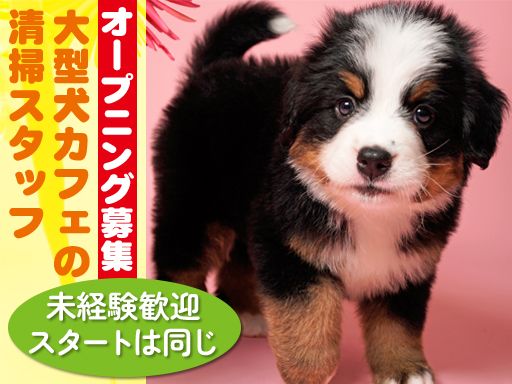 moffle +（モッフルプラス）大阪心斎橋店