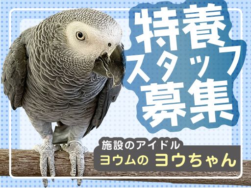 社会福祉法人　林声会　特別養護老人ホーム　ゆかり八街西林
