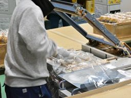 大東倉庫（株）・丸天運送（株）　［倉庫・物流］