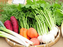 JR東日本社員寮　保土ヶ谷寮/株式会社ＪＲ東日本クロスステーションサポート[99992]