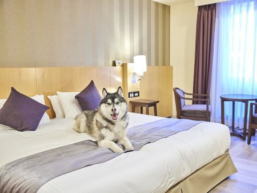 住友不動産ヴィラフォンテーヌ 株式会社