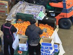 株式会社朝倉青果市場