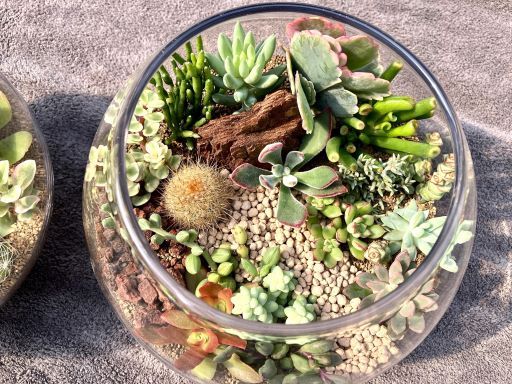 有限会社三和園芸