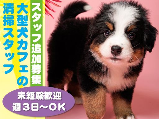 moffle（モッフル）福岡天神店