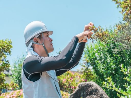 有限会社 荒井造園