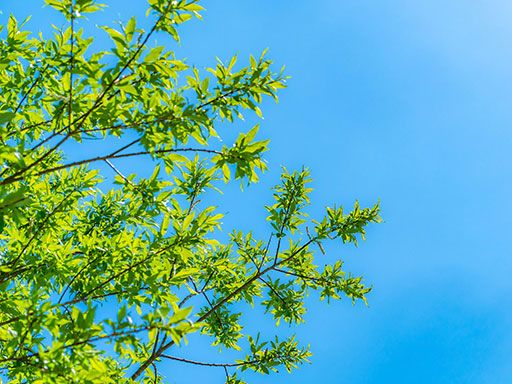 株式会社クリエイト　派遣・紹介事業部