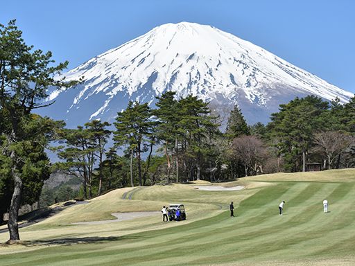 三峯パイオニックス有限会社