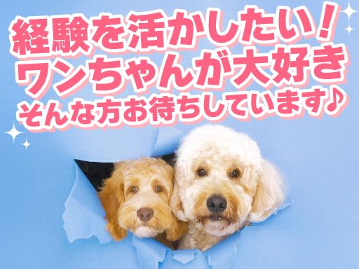 新一グループ株式会社