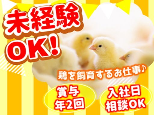 株式会社村上養鶏場