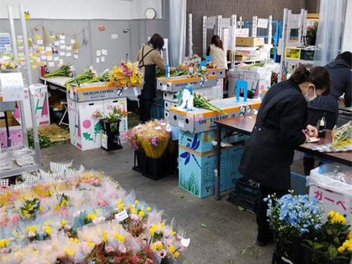 株式会社 ファインカラー