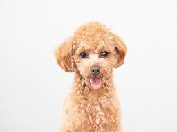 株式会社　M‘sコーポレーション